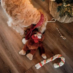 Canne de Noël chien