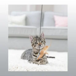 Canne à pêche Coeur Leo chat