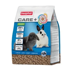 Care + Lapin