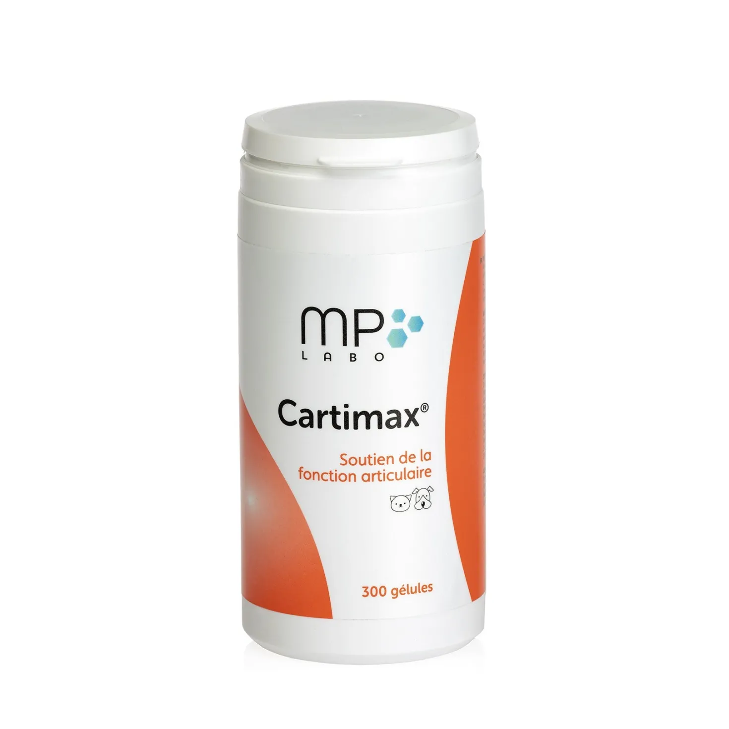 Cartimax chat, chien