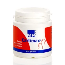 Cartimax chat, chien