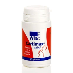 Cartimax chat, chien