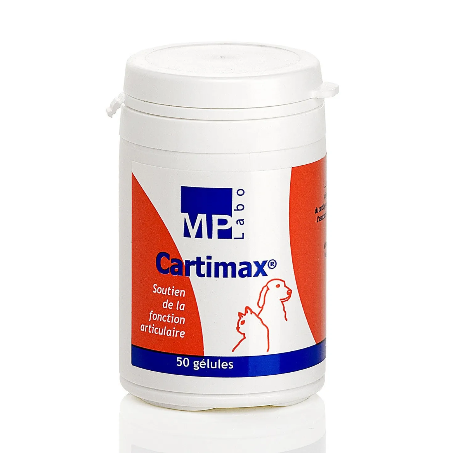 Cartimax chat, chien