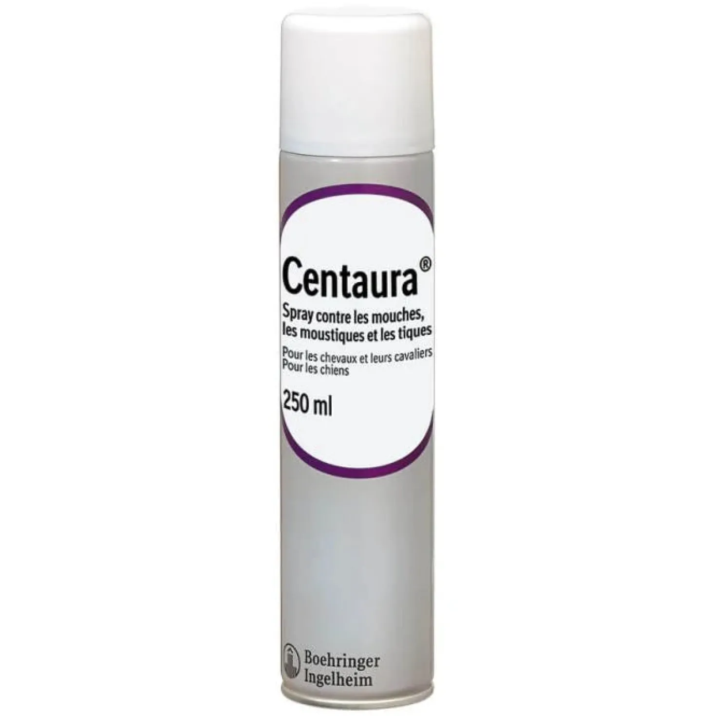 Centaura chien