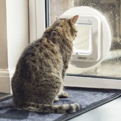 Chatière électronique chat