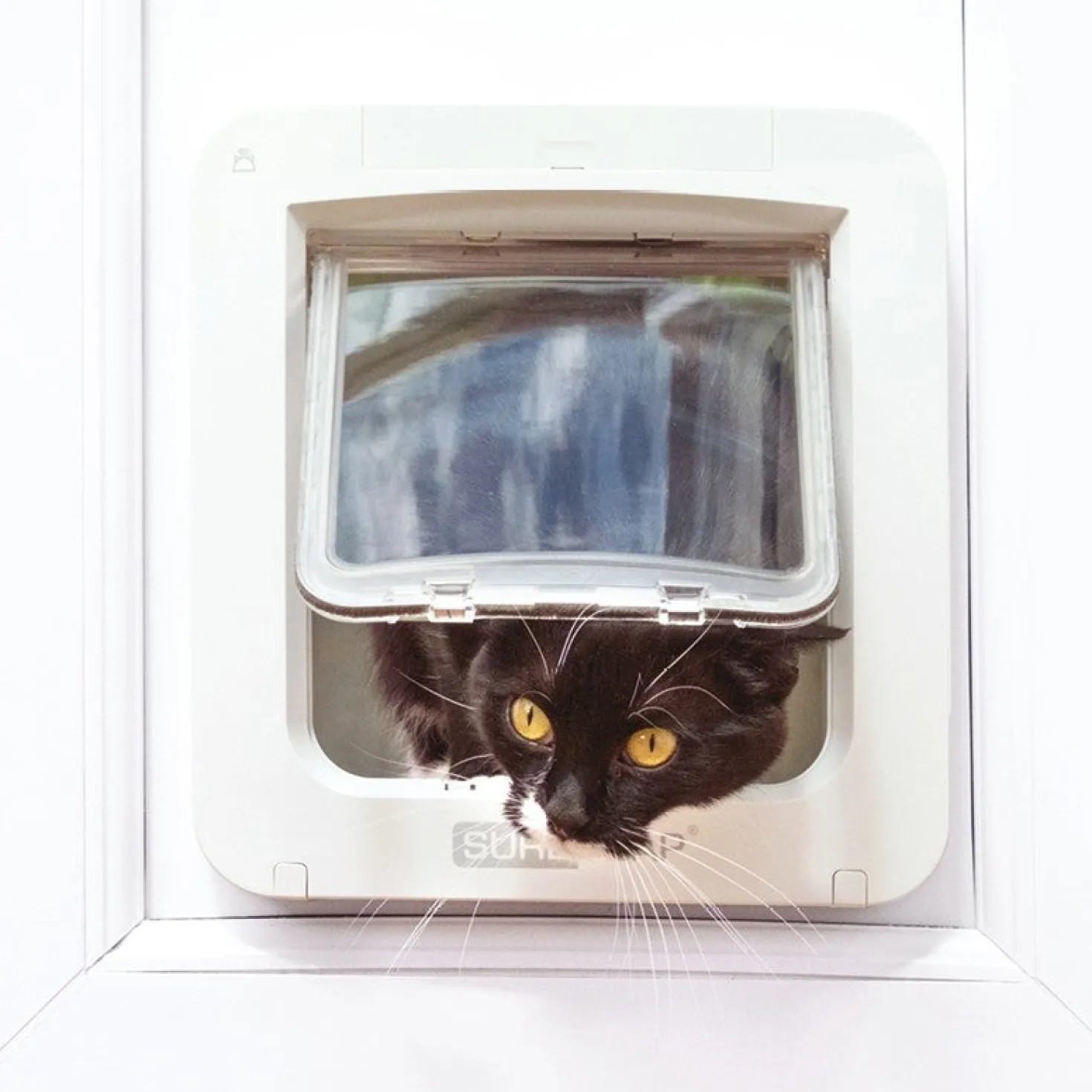 Chatière électronique Connect SureFlap
