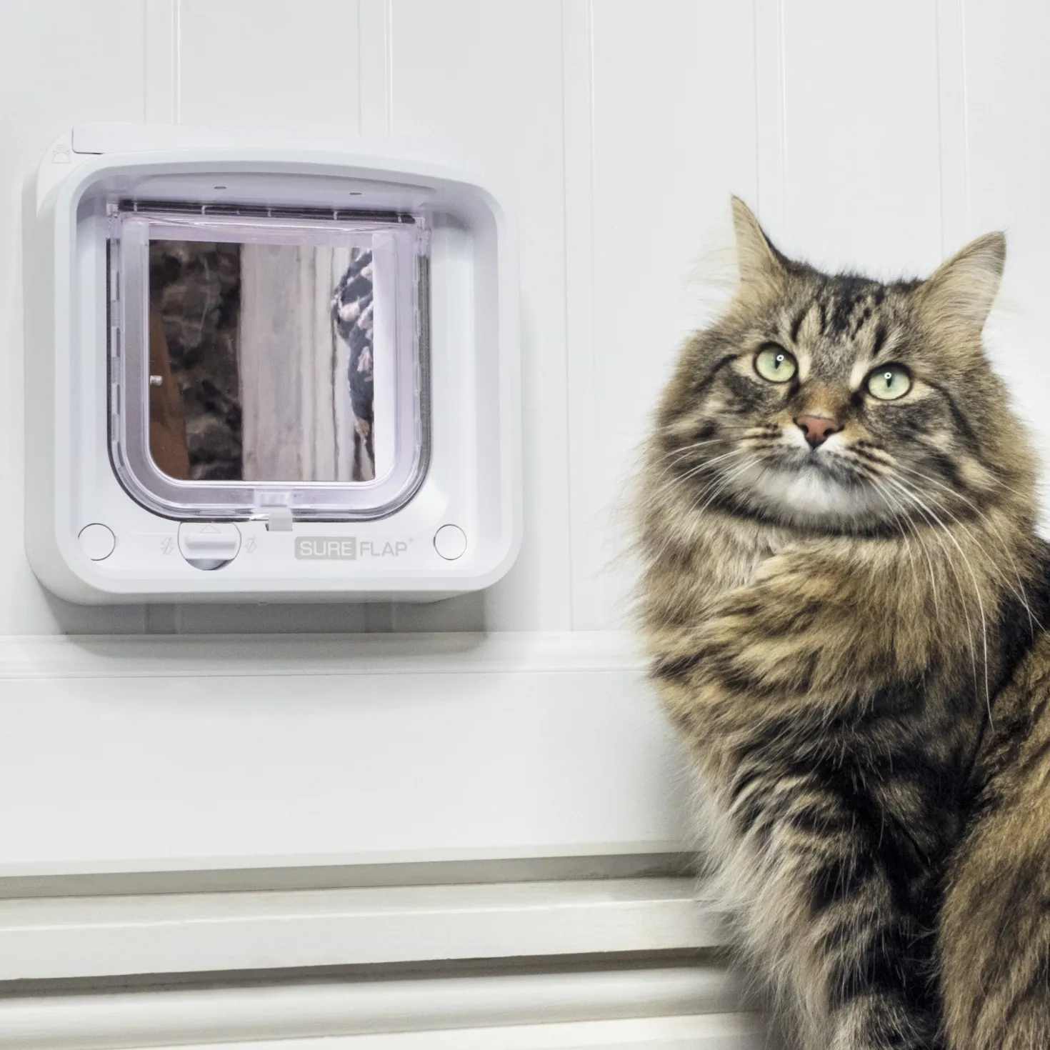 Chatière électronique Connect SureFlap