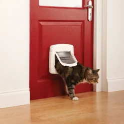 Chatière magnétique Staywell® Deluxe chat, petit chien