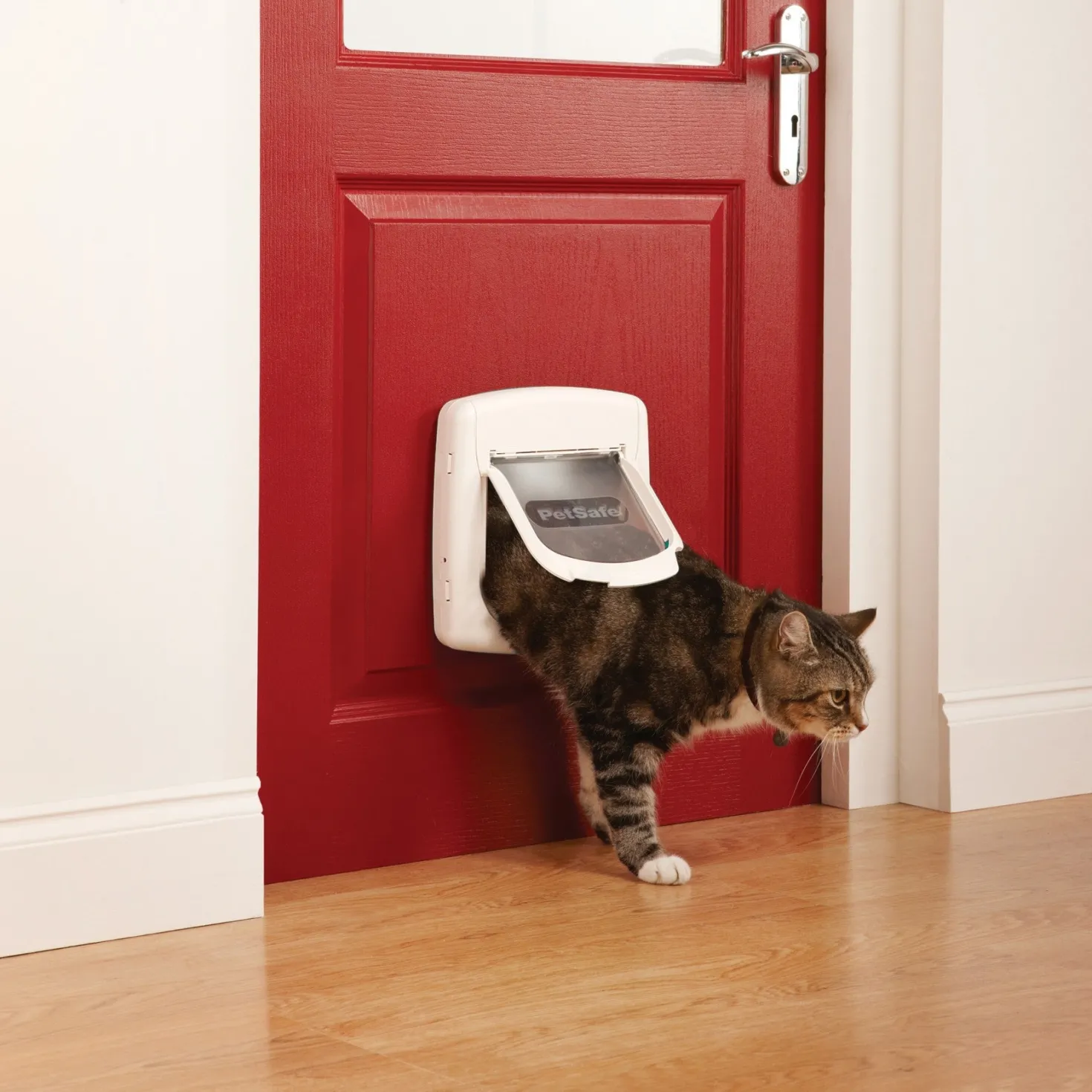 Chatière magnétique Staywell® Deluxe chat, petit chien