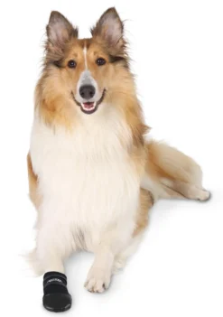 Chaussons Walker chien