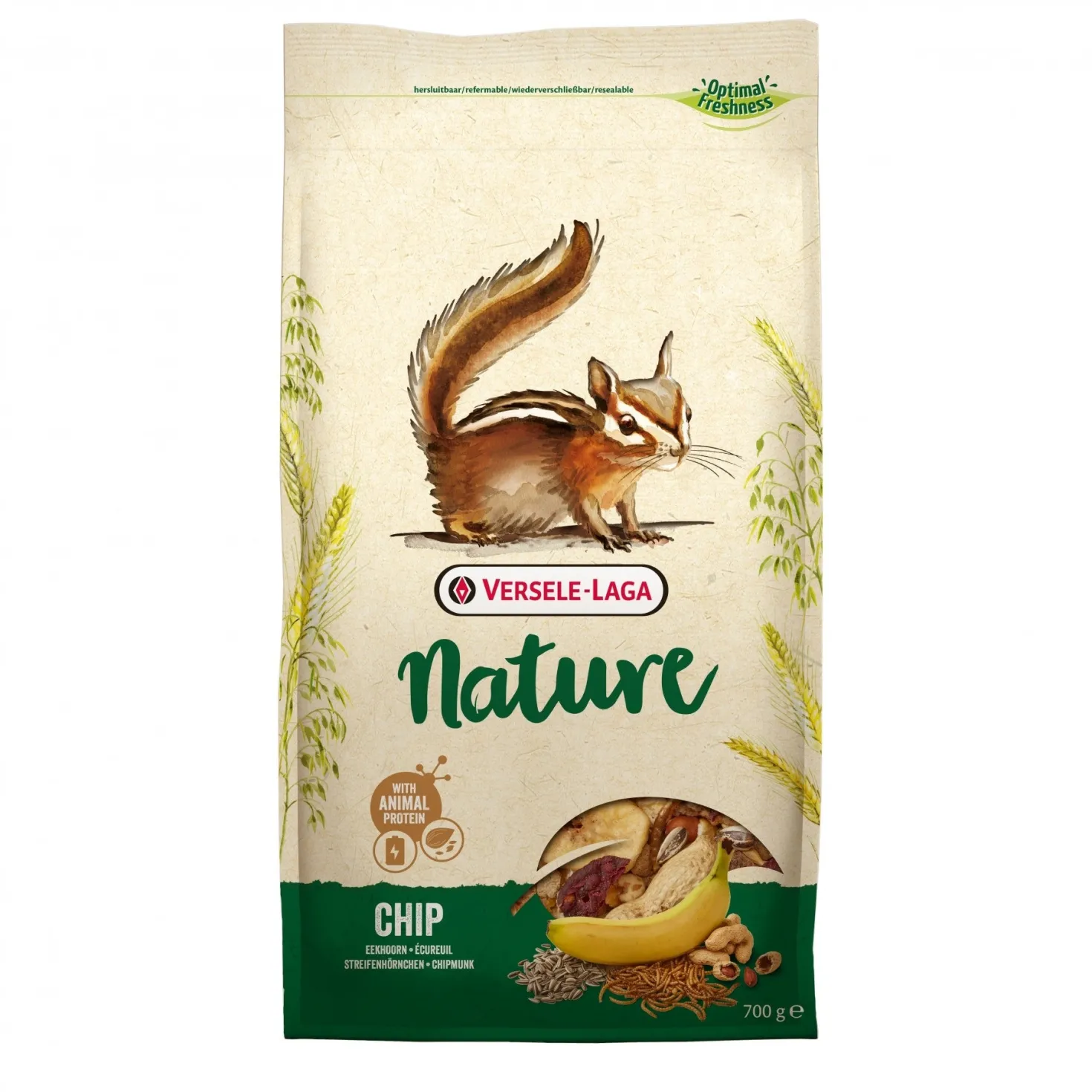Chip Nature alimentation écureuil