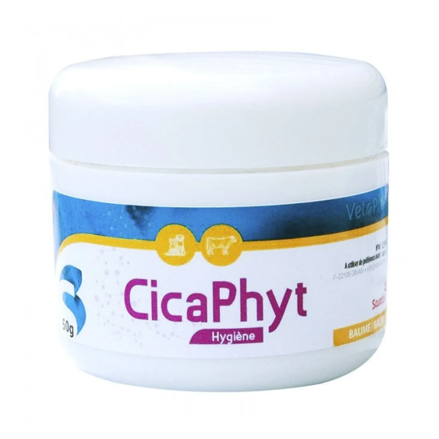 Cicaphyt