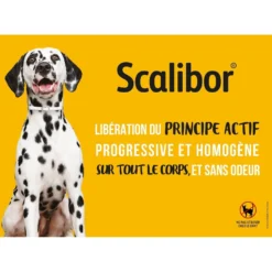 Collier antiparasitaire Scalibor chien