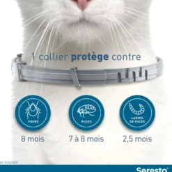 Collier Antiparasitaire Seresto Chat