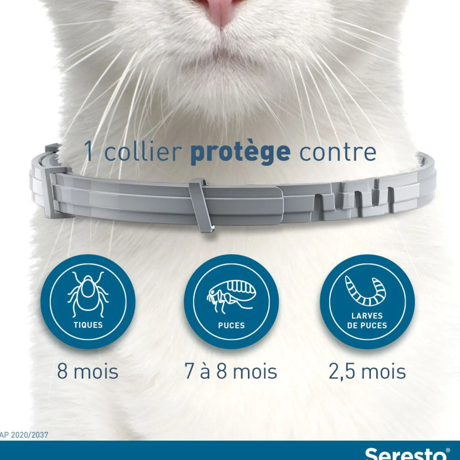 Collier Antiparasitaire Seresto Chat
