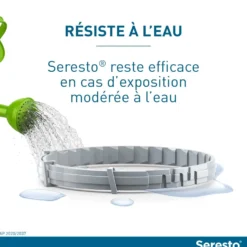 Collier Antiparasitaire Seresto Chat
