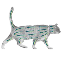 Collier Antiparasitaire Seresto Chat