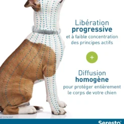 Collier Antiparasitaire Seresto Chien