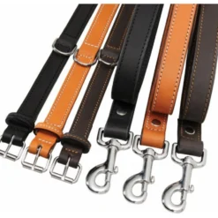 Collier cuir double