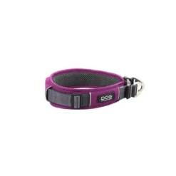 Collier Dog Copenhagen Urban Explorer chien