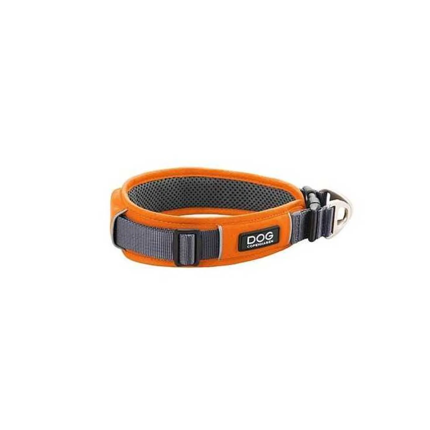 Collier Dog Copenhagen Urban Explorer chien