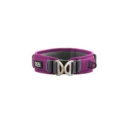Collier Dog Copenhagen Urban Explorer chien