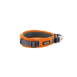Collier Dog Copenhagen Urban Explorer chien