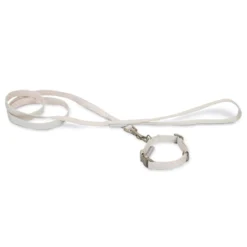 Collier et laisse Welcome chien, chiot