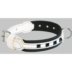 Collier montana