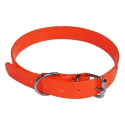Collier pour chien Aime - Fluo Hunt