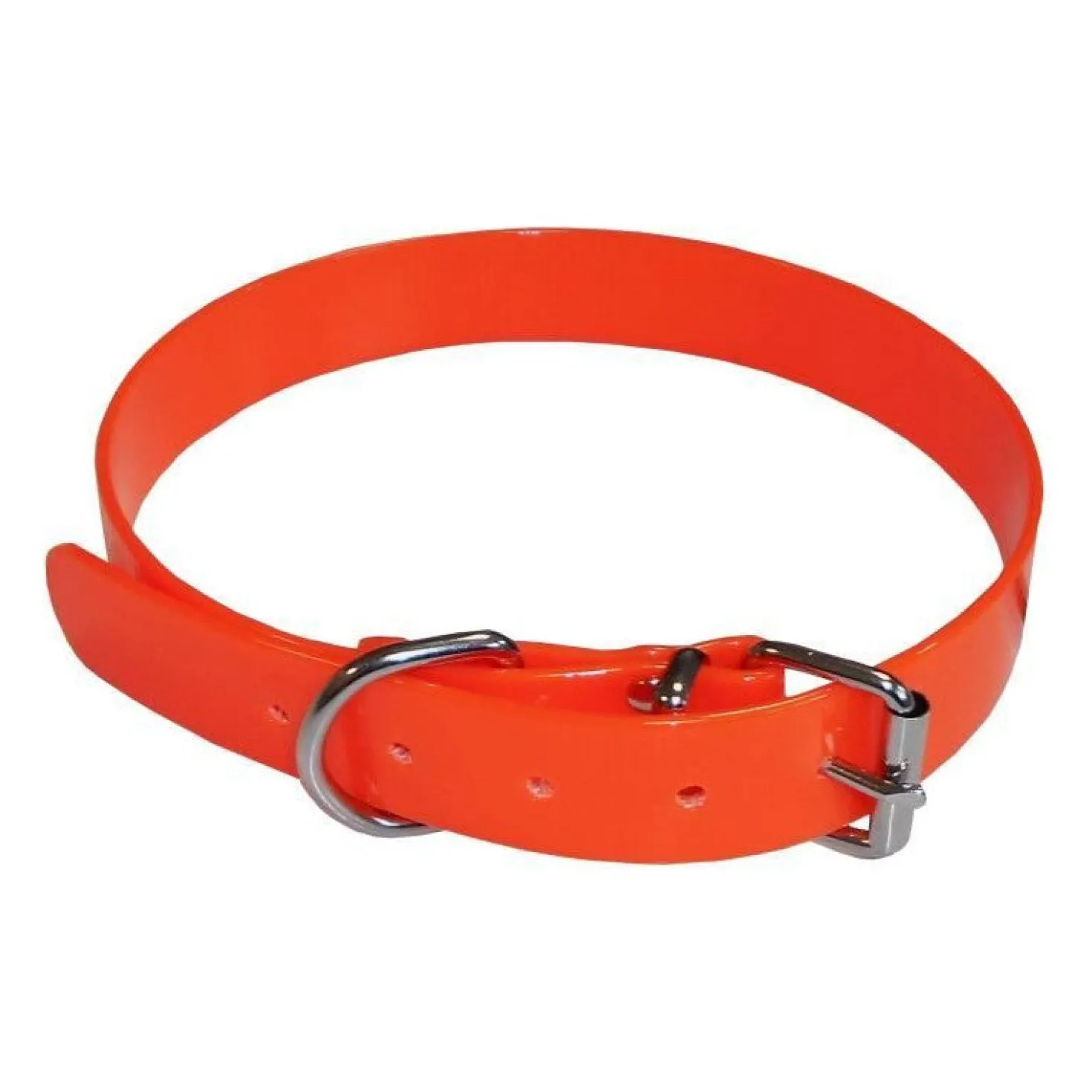 Collier pour chien Aime - Fluo Hunt