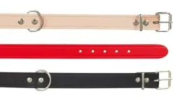 Collier pour chien Basic