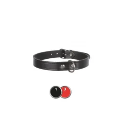 Collier pour chien Basic