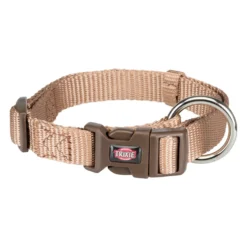 Collier Premium beige chien