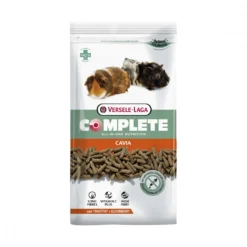 Complete Adult cochon d'Inde