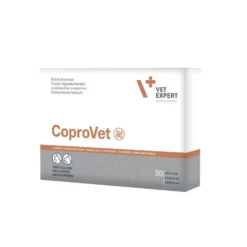 CoproVet chat, chien
