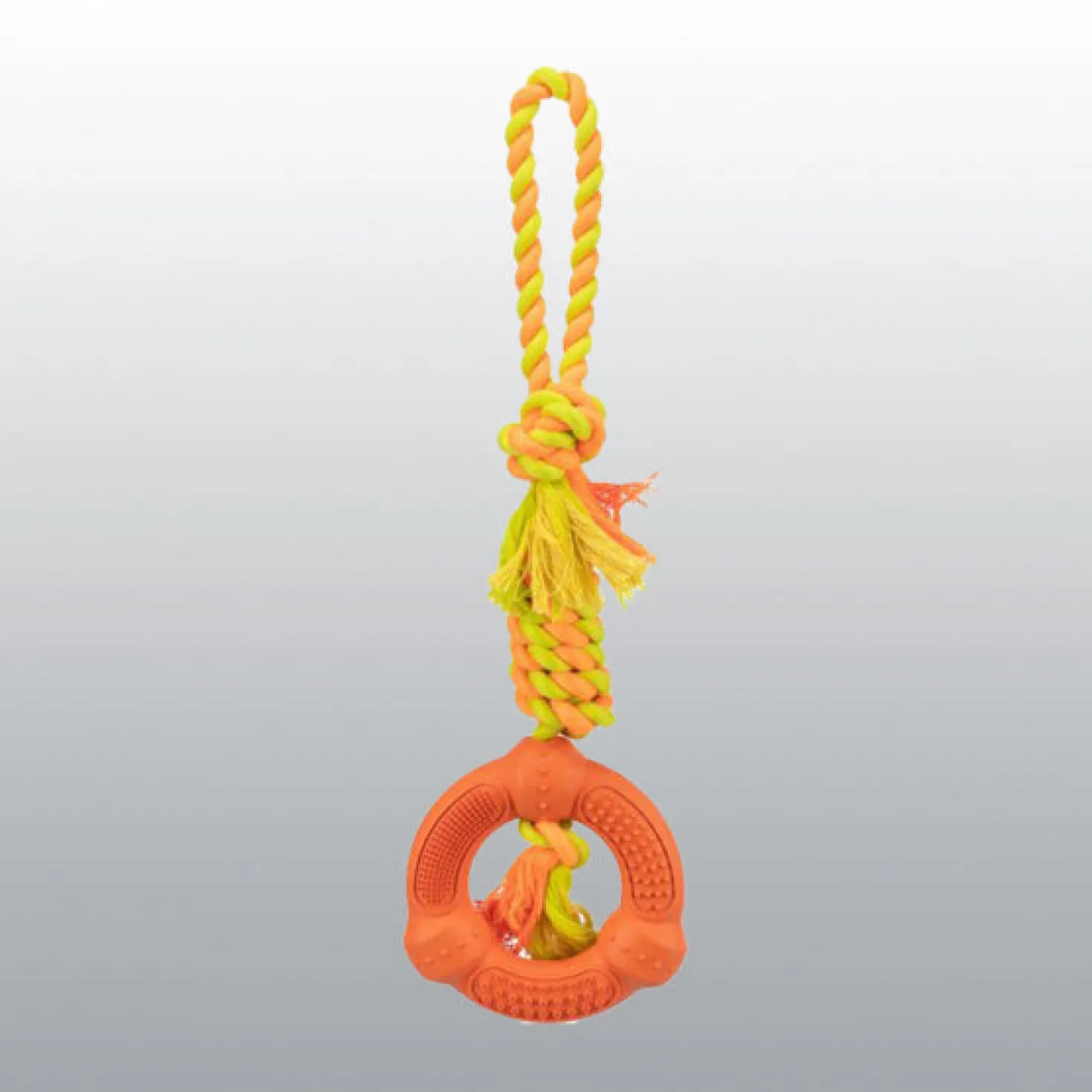 Corde de jau avec anneau pour chien