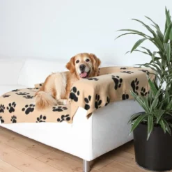 Couverture Barney chat, chien