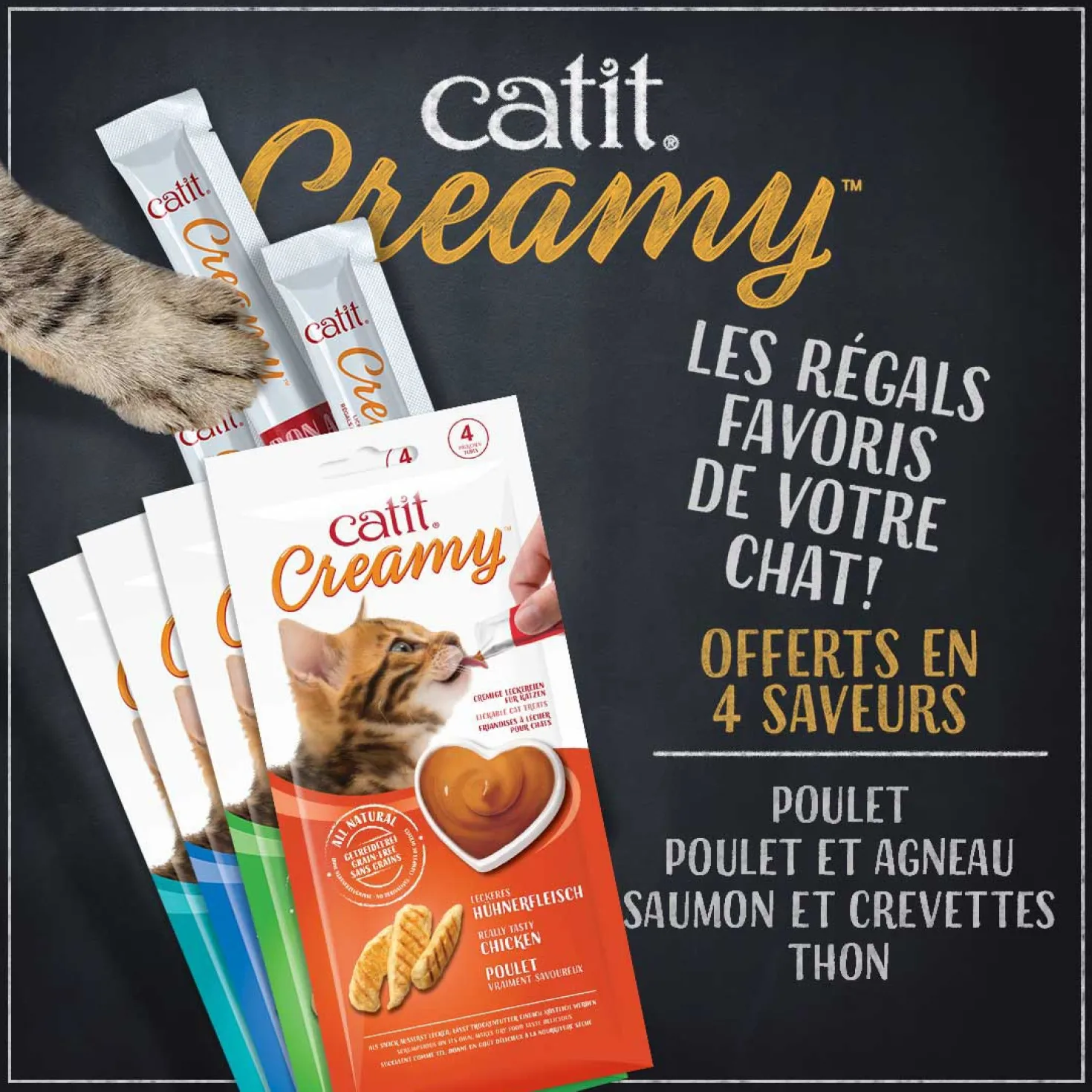 Creamy chat