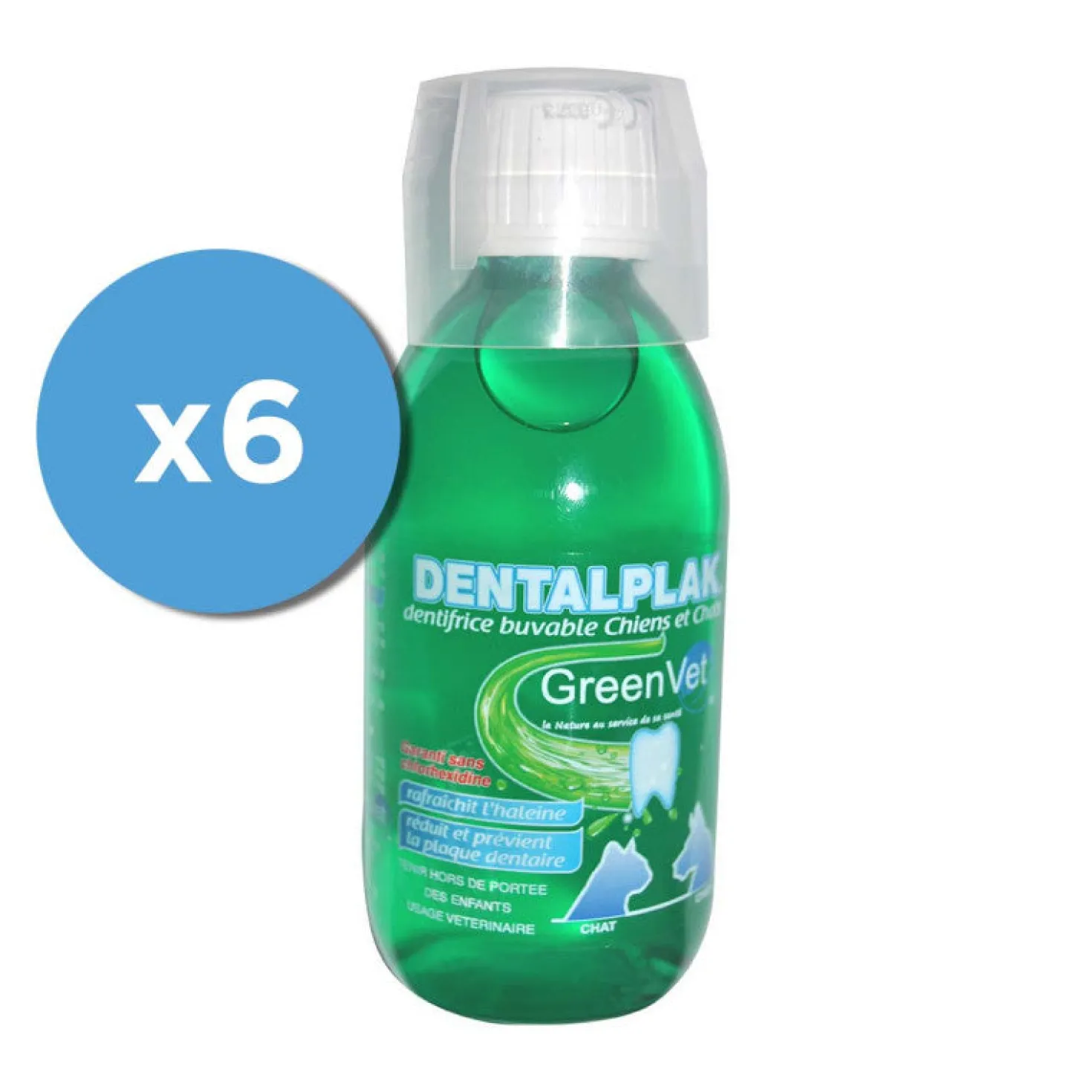 Dentalplak