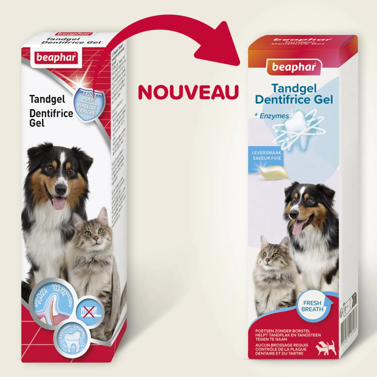 Dentifrice haleine fraîche