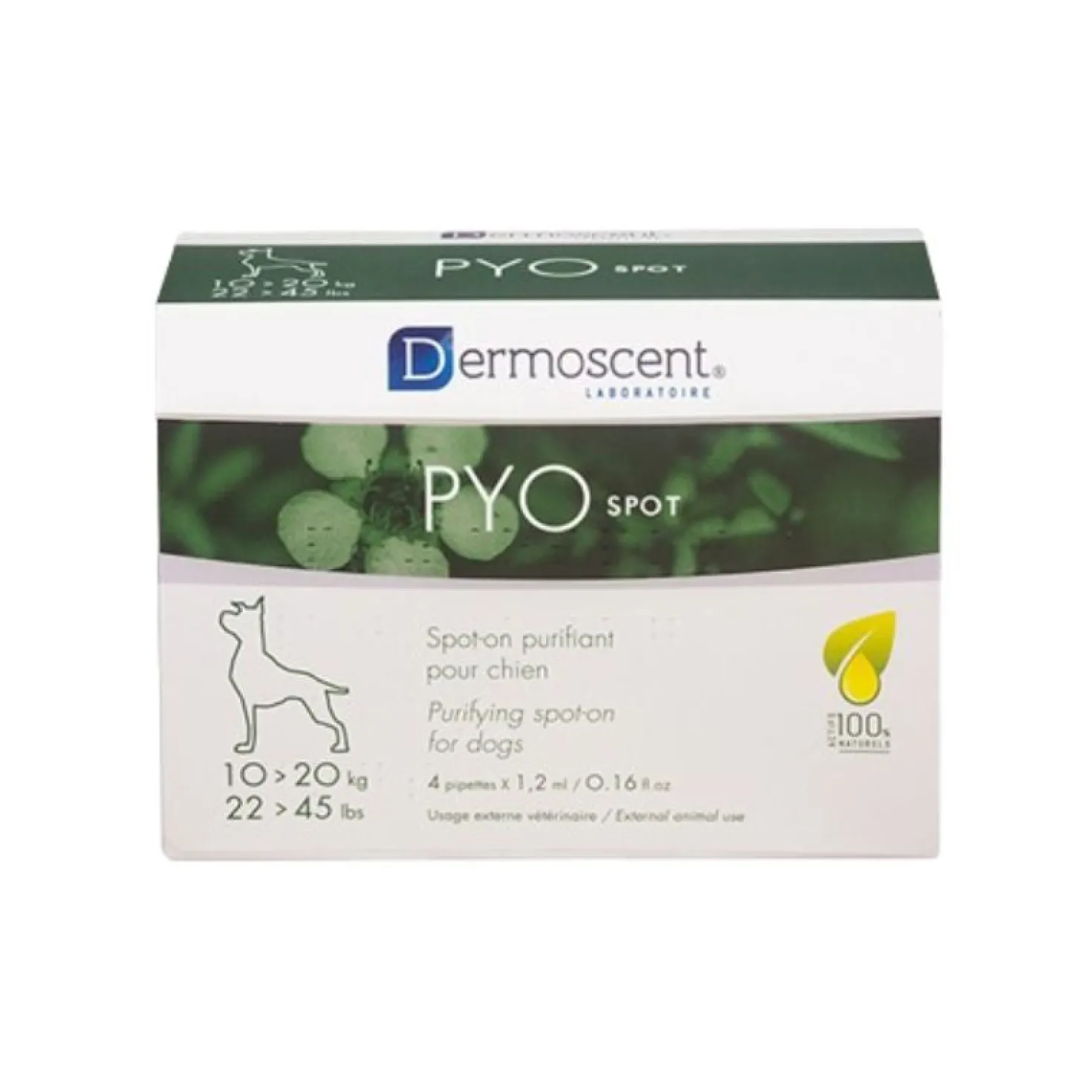 Dermoscent Pyospot chien