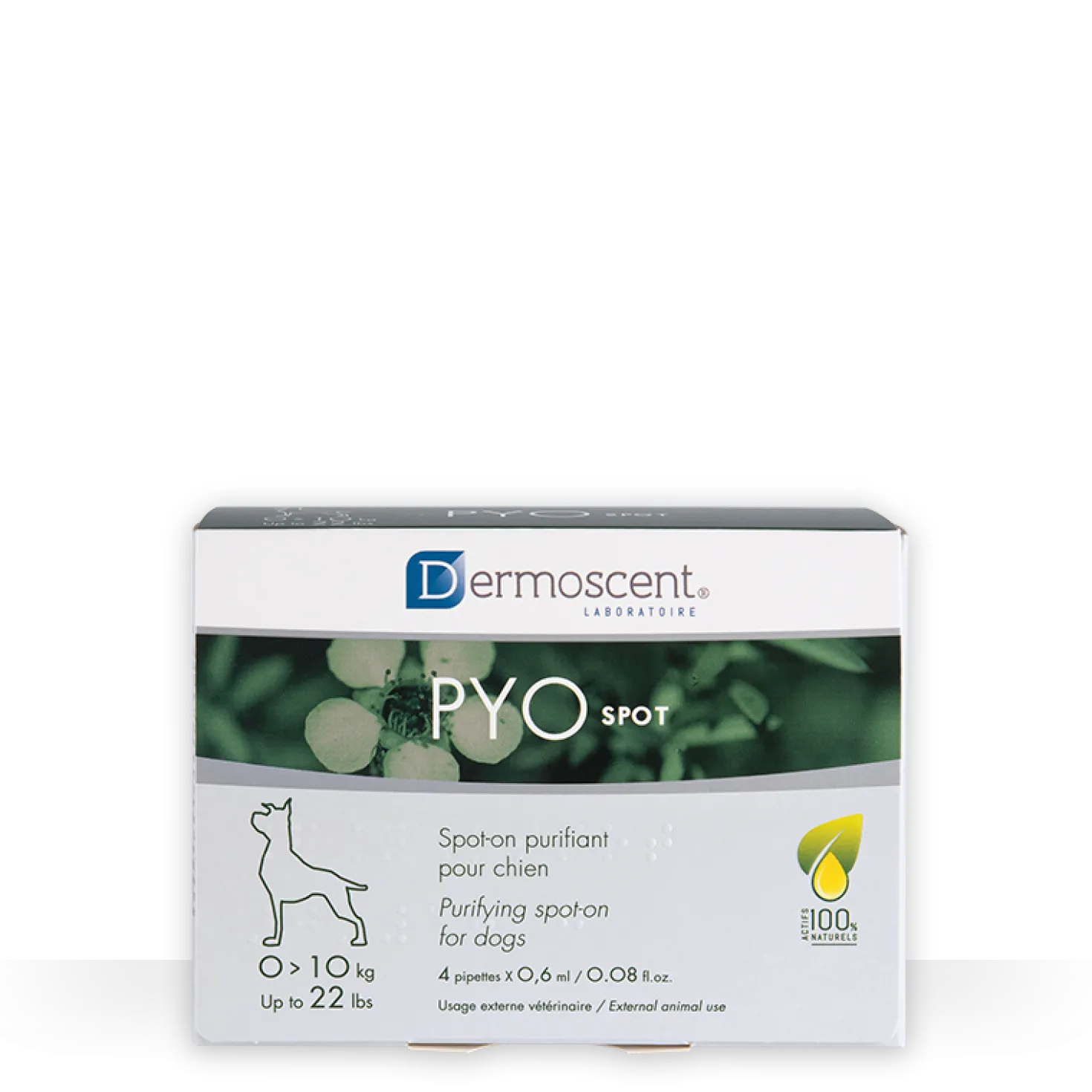 Dermoscent Pyospot chien