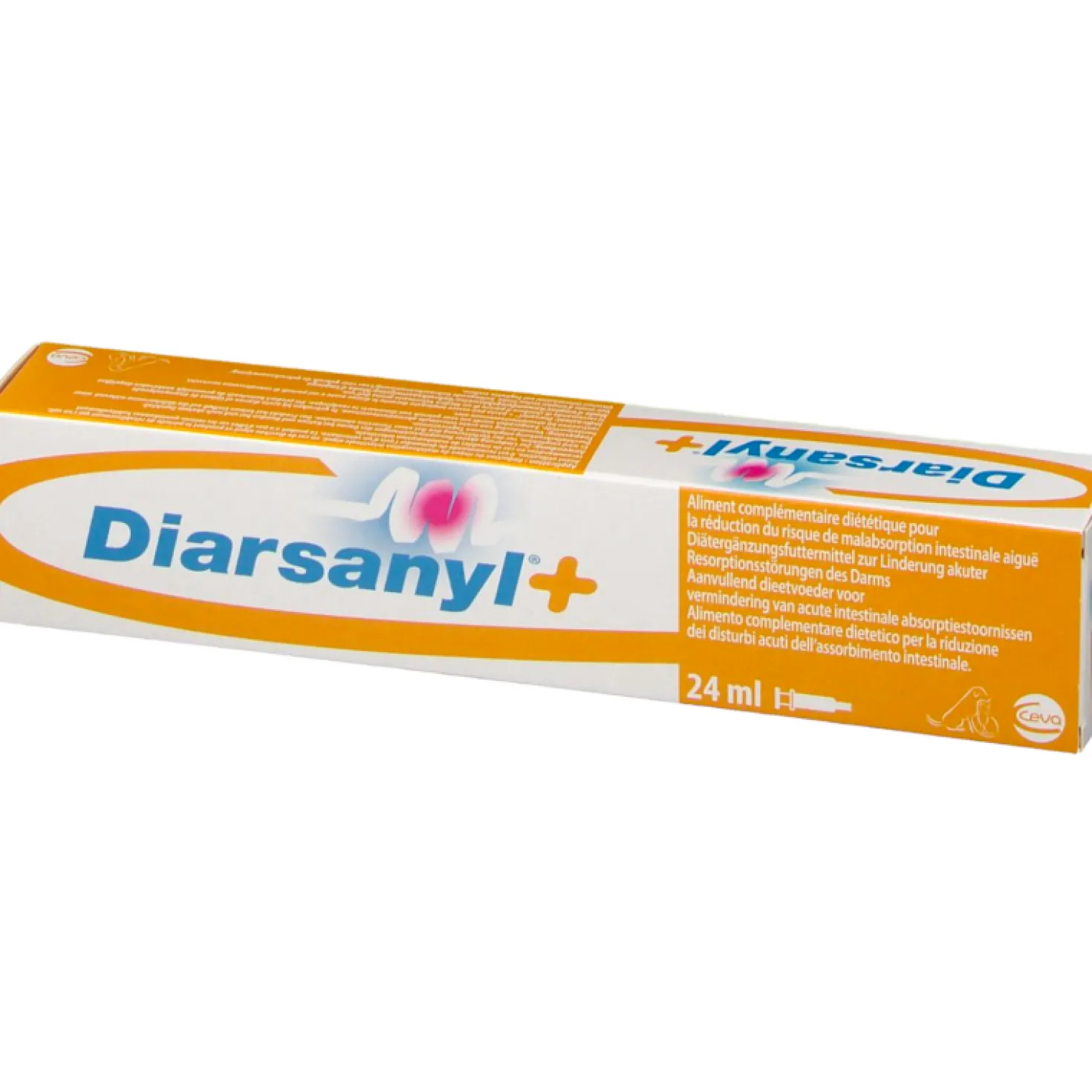 Diarsanyl chat, chien