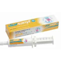 Diarsanyl grand chien