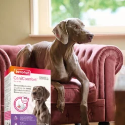 Diffuseur CaniComfort® chiot, chien