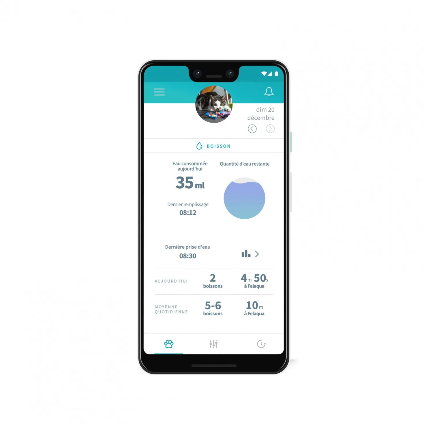 Distributeur d'eau Felaqua Connect chat