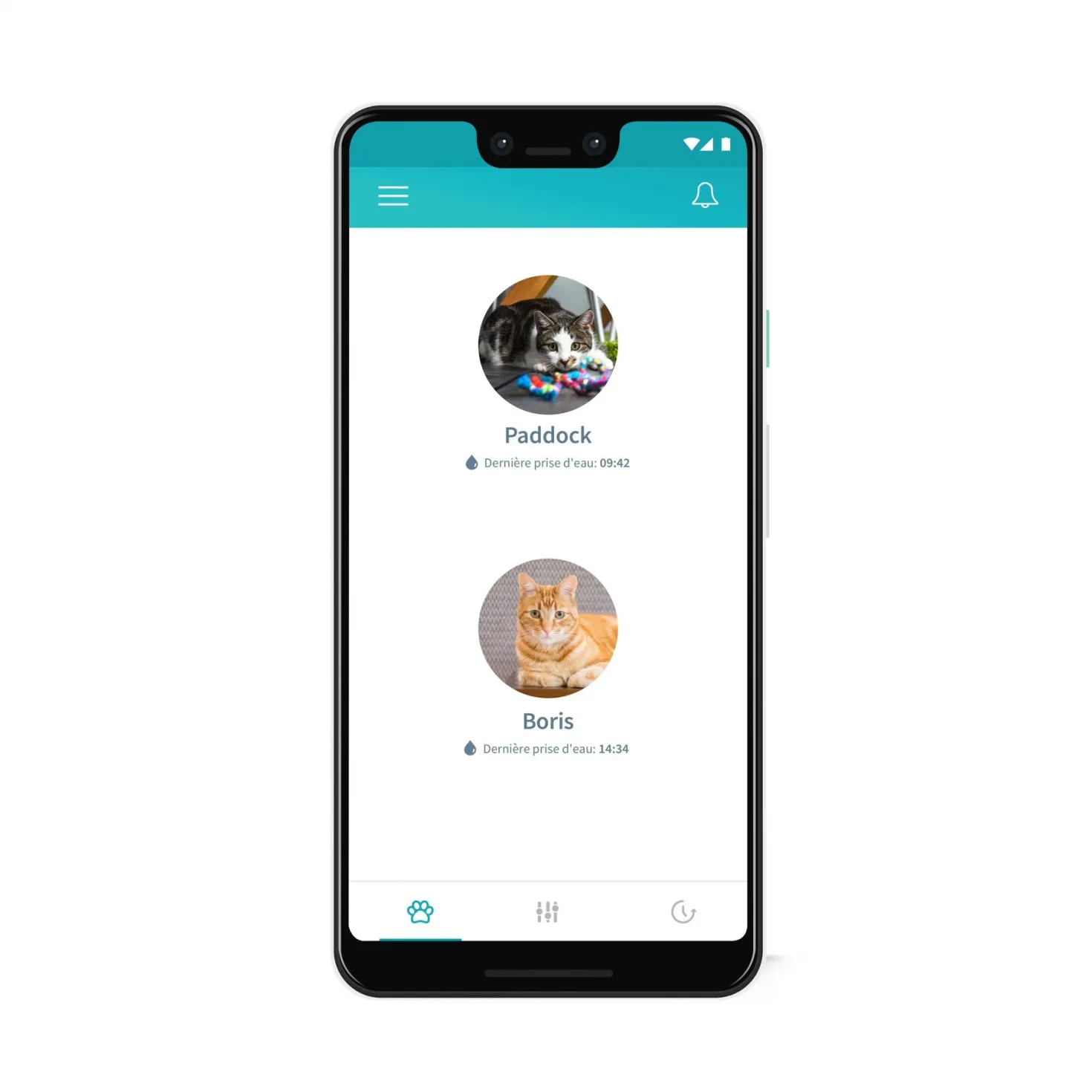 Distributeur d'eau Felaqua Connect chat
