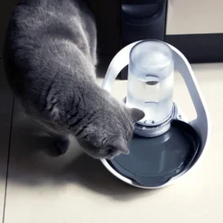 Distributeur d'eau Felaqua Connect chat