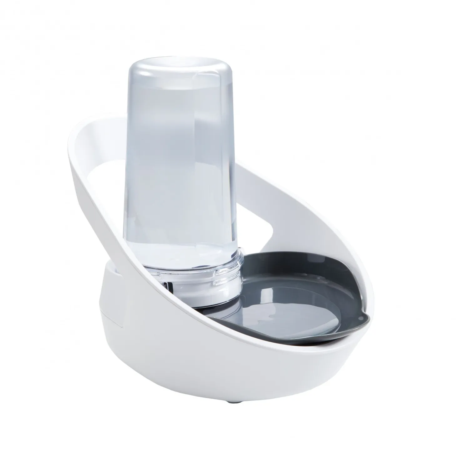 Distributeur d'eau Felaqua Connect chat